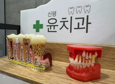 윤치과의원 — 업체가 네이버 플레이스에 올린 사진 1