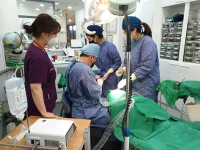 미소담치과의원 — 업체가 네이버 플레이스에 올린 사진 2