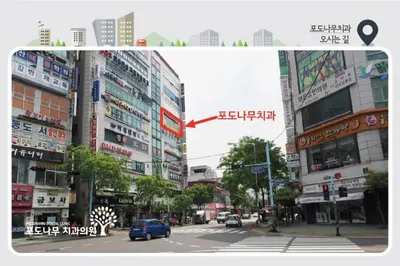 포도나무치과의원 — 업체가 네이버 플레이스에 올린 사진 3