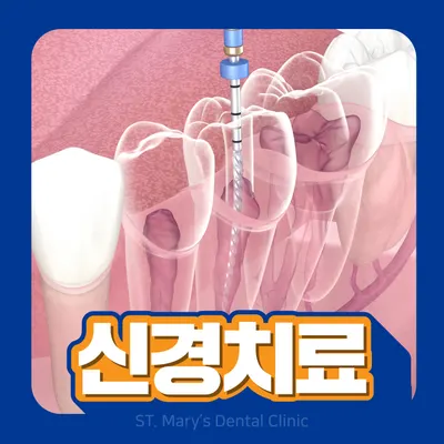 의정부성모치과의원 — 업체가 네이버 플레이스에 올린 사진 3