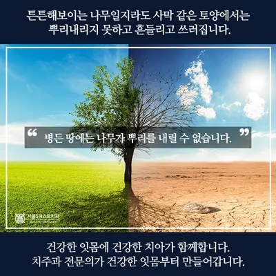 서울에스(S)퍼스트치과의원 — 업체가 네이버 플레이스에 올린 사진 3