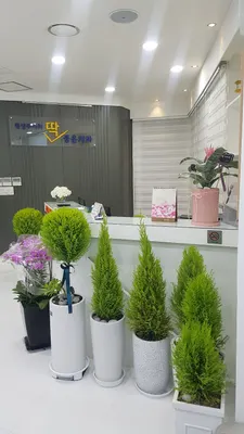 평생주치의 딱 좋은 치과의원 — 업체가 네이버 플레이스에 올린 사진 3