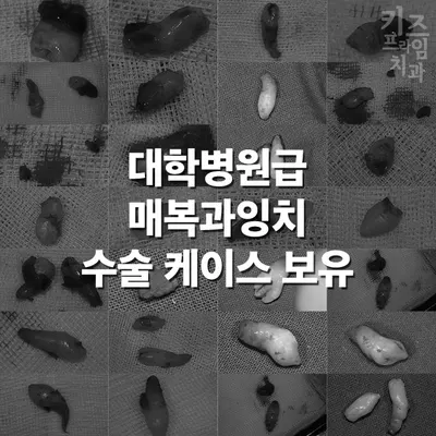 키즈프라임치과의원 — 업체가 네이버 플레이스에 올린 사진 2