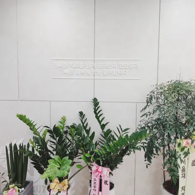 서울다정치과의원 — 업체가 네이버 플레이스에 올린 사진 2