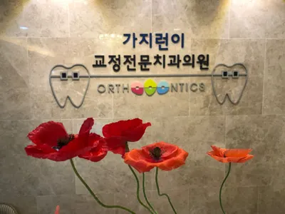 가지런이치과의원 — 업체가 네이버 플레이스에 올린 사진 2