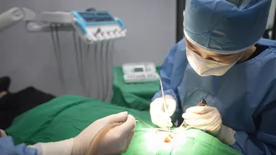 연세하얀치과의원 — 업체가 네이버 플레이스에 올린 사진 2