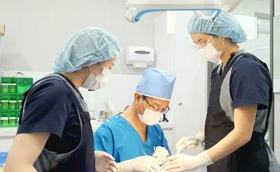 조이플란트치과의원 — 업체가 네이버 플레이스에 올린 사진 1