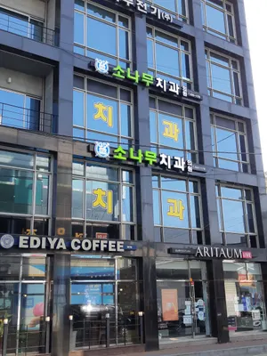 소나무치과의원 — 업체가 네이버 플레이스에 올린 사진 2