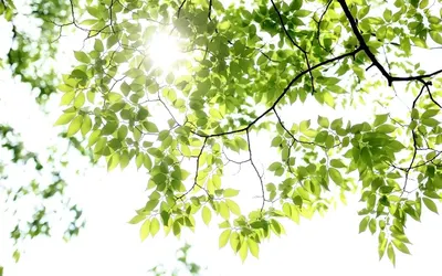 박치과의원 — 업체가 네이버 플레이스에 올린 사진 2