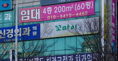 금호꼬마이치과의원 — 업체가 네이버 플레이스에 올린 사진 1