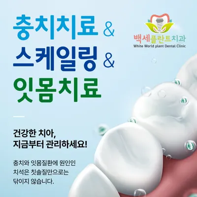 가정백세플란트치과의원 — 업체가 네이버 플레이스에 올린 사진 3