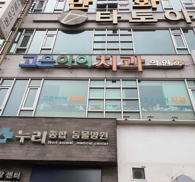 고은아이치과의원 — 업체가 네이버 플레이스에 올린 사진 2