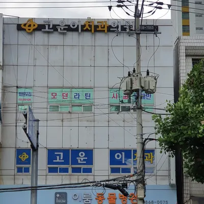 고운이치과의원 — 업체가 네이버 플레이스에 올린 사진 1