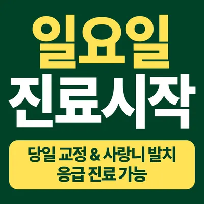 광주플란트치과의원 — 업체가 네이버 플레이스에 올린 사진 2