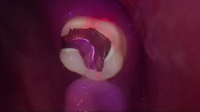 함께하는치과의원 — 업체가 네이버 플레이스에 올린 사진 3