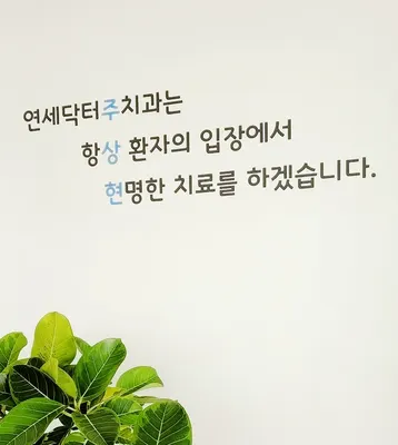 연세닥터주치과의원 — 업체가 네이버 플레이스에 올린 사진 2