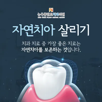 뉴욕플란트치과의원 — 업체가 네이버 플레이스에 올린 사진 3