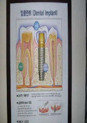홍성덕치과의원 — 업체가 네이버 플레이스에 올린 사진 2