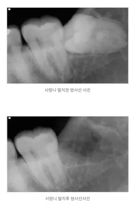 코코치과의원 — 업체가 네이버 플레이스에 올린 사진 3