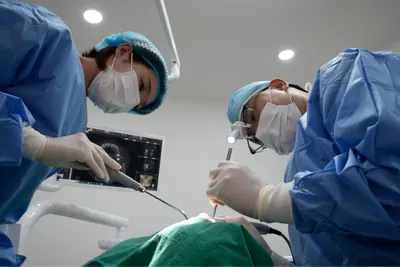 이진치과의원 — 업체가 네이버 플레이스에 올린 사진 2