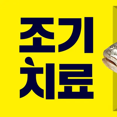 메가플란트치과의원 서대문 — 업체가 네이버 플레이스에 올린 사진 2