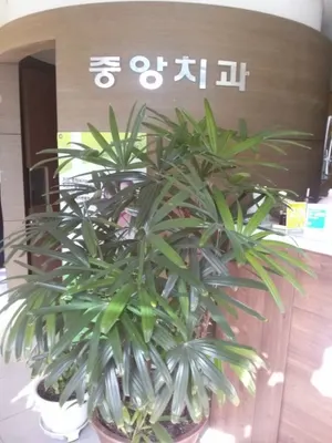 중앙치과의원 — 업체가 네이버 플레이스에 올린 사진 1