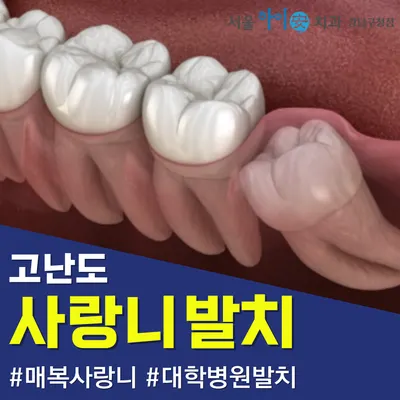 서울하이안치과의원 — 업체가 네이버 플레이스에 올린 사진 3