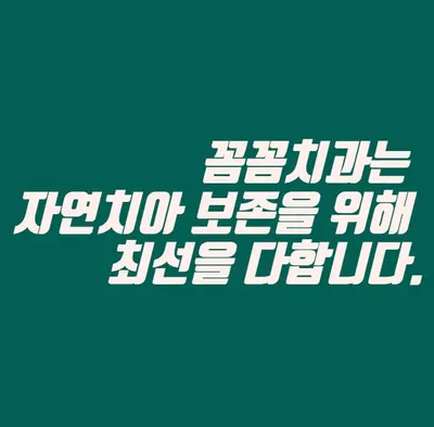 꼼꼼치과의원 — 업체가 네이버 플레이스에 올린 사진 3