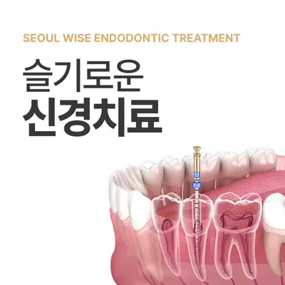 서울슬기로운치과의원 — 업체가 네이버 플레이스에 올린 사진 3