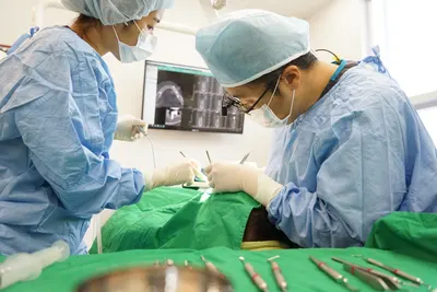 박정형웰치과의원 — 업체가 네이버 플레이스에 올린 사진 3