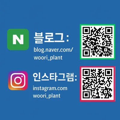 우리플란트 치과의원 — 업체가 네이버 플레이스에 올린 사진 2
