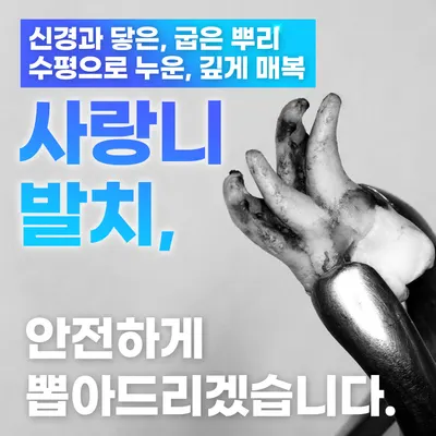찬스플란트치과의원 — 업체가 네이버 플레이스에 올린 사진 2
