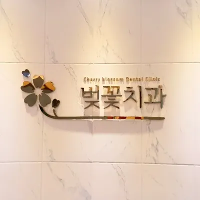 벚꽃치과의원 — 업체가 네이버 플레이스에 올린 사진 1