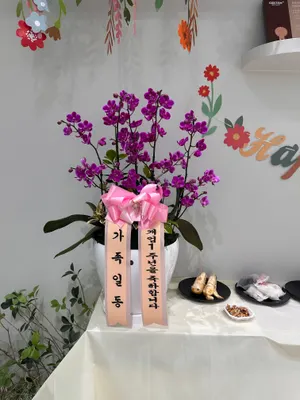 연세서울숲치과의원 — 업체가 네이버 플레이스에 올린 사진 2