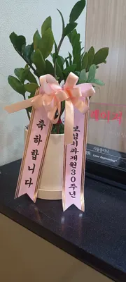 보성치과의원 — 업체가 네이버 플레이스에 올린 사진 2