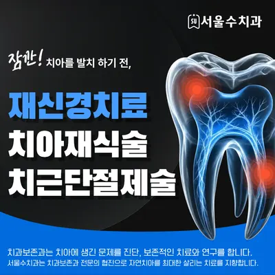 서울수치과의원 — 업체가 네이버 플레이스에 올린 사진 2