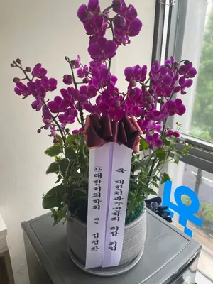 일리노이치과교정과치과의원 — 업체가 네이버 플레이스에 올린 사진 3